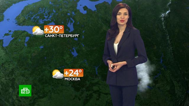 Прогноз погоды на 1 июля.погода, прогноз погоды.НТВ.Ru: новости, видео, программы телеканала НТВ