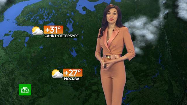 Прогноз погоды на 2 июля.погода, прогноз погоды.НТВ.Ru: новости, видео, программы телеканала НТВ