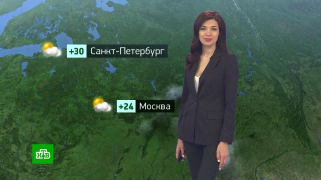 Утренний прогноз погоды на 1 июля. погода, прогноз погоды. НТВ.Ru: новости, видео, программы телеканала НТВ