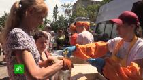 Волонтеры доставили в освобожденный Северодонецк продукты и предметы первой необходимости