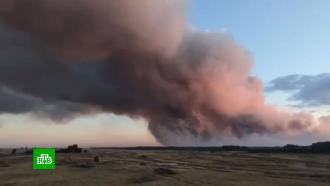 В Алтайском крае потушили крупный лесной пожар