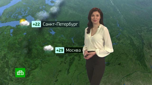Утренний прогноз погоды на 7 июля.погода, прогноз погоды.НТВ.Ru: новости, видео, программы телеканала НТВ