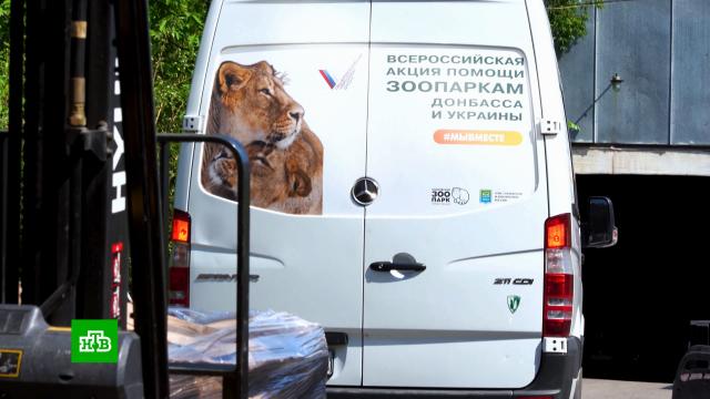 Московский зоопарк отправил в Донбасс около тонны кормов и игрушек для животных.Москва, животные, зоопарки.НТВ.Ru: новости, видео, программы телеканала НТВ