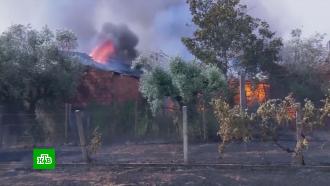 Португалию и Испанию охватили лесные пожары