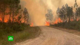 Масштабные природные пожары бушуют в нескольких странах Европы