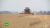 В МИД РФ сообщили об отказе Киева вывозить пшеницу через Белоруссию и порты Азовского моря
