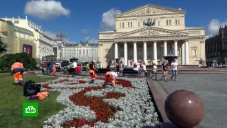 Свыше 1,2 миллиона многолетних цветов высадят в Москве 