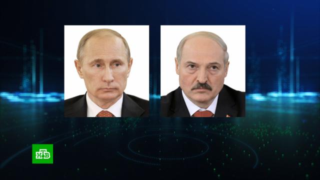 В Кремле раскрыли подробности беседы Путина и Лукашенко.Белоруссия, Лукашенко, Путин, переговоры.НТВ.Ru: новости, видео, программы телеканала НТВ