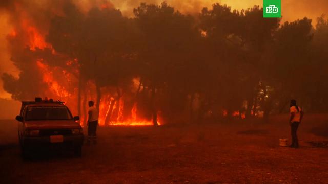 В Греции бушуют грандиозные пожары.Греция, жара, лесные пожары, пожары, стихийные бедствия.НТВ.Ru: новости, видео, программы телеканала НТВ