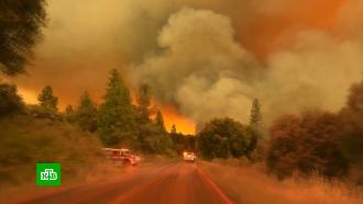 Тысячи жителей Калифорнии эвакуированы из-за лесного пожара