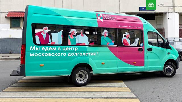 В Москве запустили бесплатный автобус для посетителей центров долголетия.Москва, автобусы, долгожители, пенсионеры.НТВ.Ru: новости, видео, программы телеканала НТВ