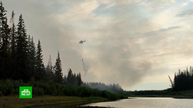 Из-за лесных пожаров введен режим ЧС еще в одном районе Якутии.Якутия, лесные пожары.НТВ.Ru: новости, видео, программы телеканала НТВ