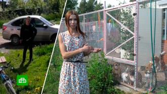 Житель Петрозаводска терроризирует зоогостиницу <nobr>экс-возлюбленной</nobr> 