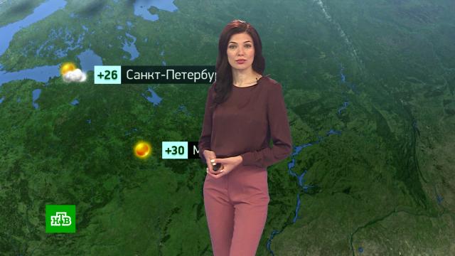 Утренний прогноз погоды на 4 августа.погода, прогноз погоды.НТВ.Ru: новости, видео, программы телеканала НТВ