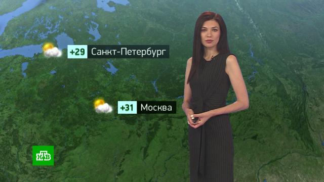 Утренний прогноз погоды на 5 августа.погода, прогноз погоды.НТВ.Ru: новости, видео, программы телеканала НТВ