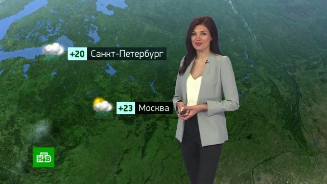 Утренний прогноз погоды на 8 августа.погода, прогноз погоды.НТВ.Ru: новости, видео, программы телеканала НТВ