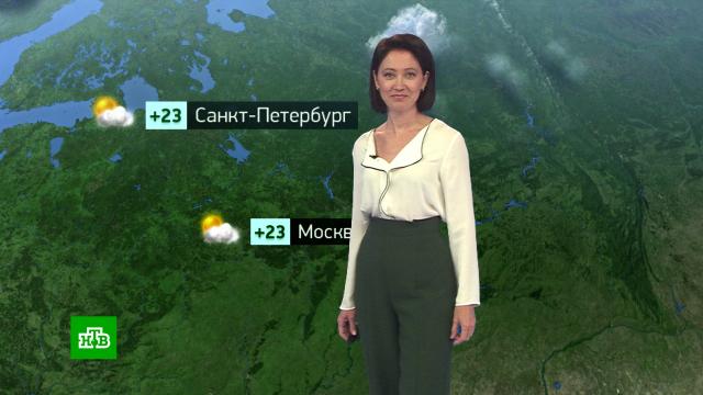 Утренний прогноз погоды на 10 августа.погода, прогноз погоды.НТВ.Ru: новости, видео, программы телеканала НТВ