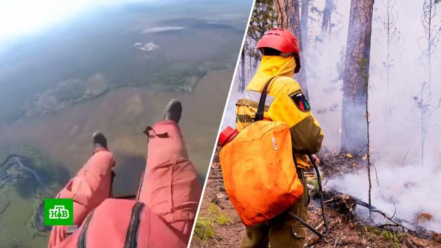 Иркутские парашютисты-десантники помогают тушить лесные пожары в Югре.ХМАО/Югра, лесные пожары.НТВ.Ru: новости, видео, программы телеканала НТВ