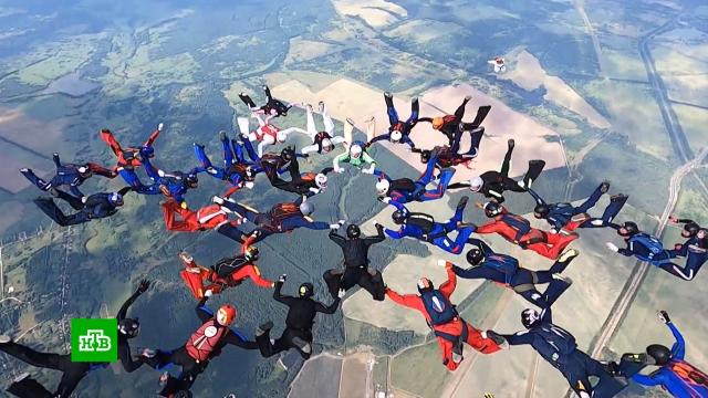 В Рязанской области десятки парашютистов попытались установить рекорд общенационального масштаба.Рязанская область, парашютный спорт.НТВ.Ru: новости, видео, программы телеканала НТВ