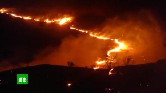 В Европе из-за аномальной жары выгорела рекордная площадь леса