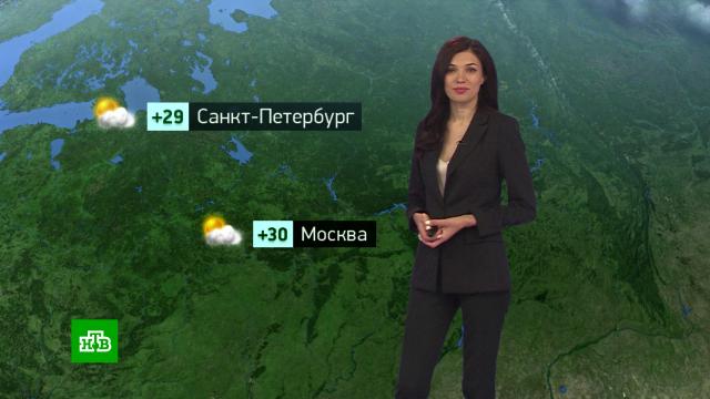Утренний прогноз погоды на 16 августа.погода, прогноз погоды.НТВ.Ru: новости, видео, программы телеканала НТВ