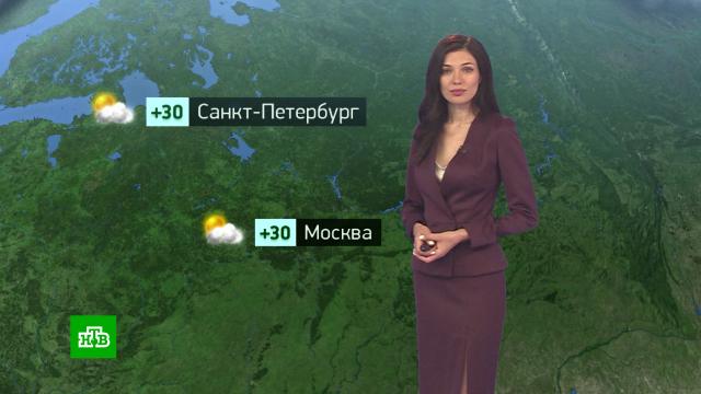 Утренний прогноз погоды на 17 августа.погода, прогноз погоды.НТВ.Ru: новости, видео, программы телеканала НТВ