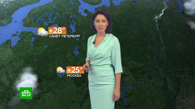 Прогноз погоды на 20 августа.погода, прогноз погоды.НТВ.Ru: новости, видео, программы телеканала НТВ