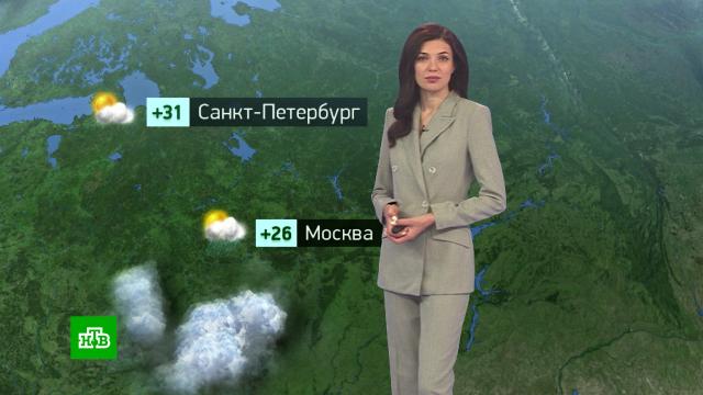 Утренний прогноз погоды на 19 августа.погода, прогноз погоды.НТВ.Ru: новости, видео, программы телеканала НТВ