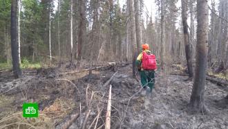 Пламенем объяты 105 тысяч гектаров: леса горят почти во всех субъектах страны