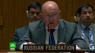 Небензя: Россия поднимет тему убийства Дугиной на срочном заседании СБ ООН