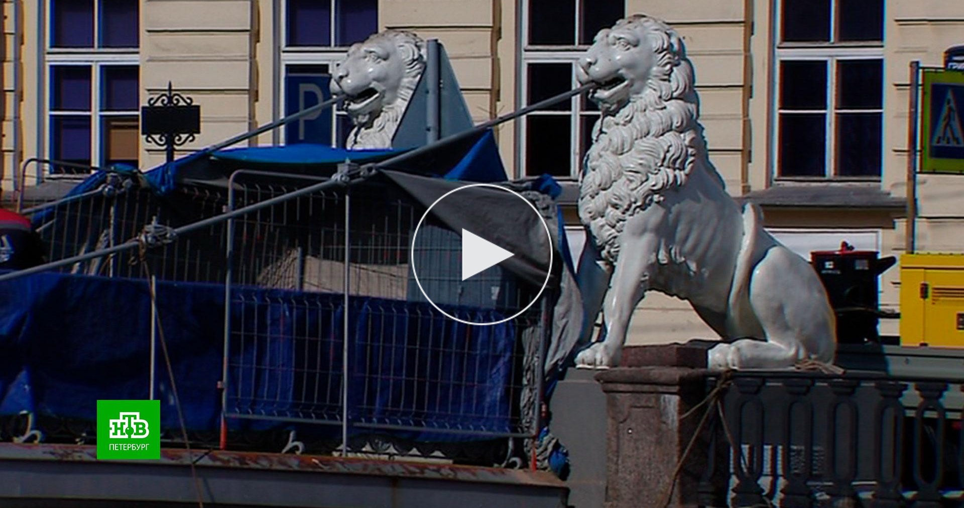 Реставрация спб. Львиный мост в Санкт-Петербурге. Банковский мост в Санкт-Петербурге. Мост со львами в Санкт-Петербурге. Банковский мост в Санкт-Петербурге зимой.