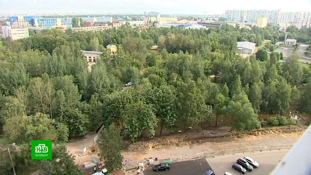 Берег реки Оккервиль начинают превращать в современный парк.Санкт-Петербург, благоустройство, парки и скверы.НТВ.Ru: новости, видео, программы телеканала НТВ