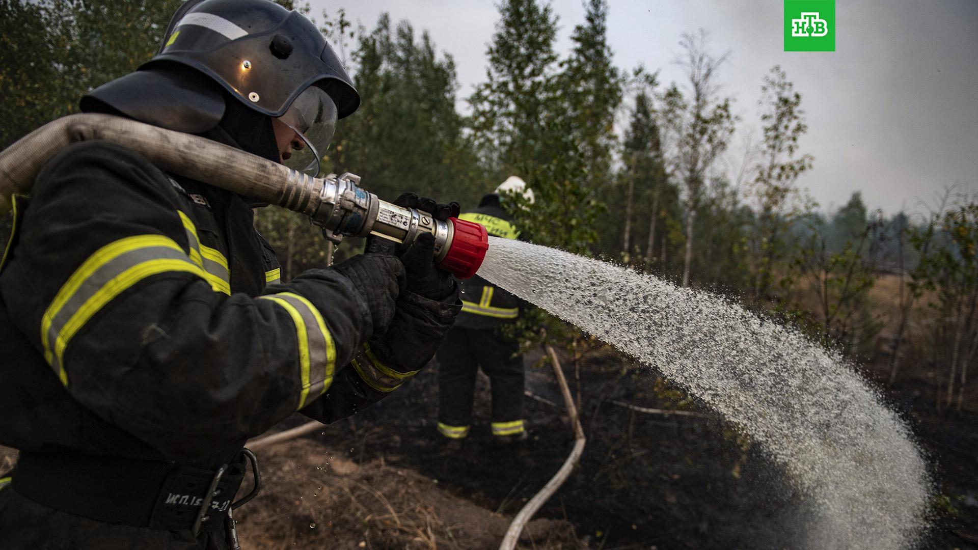 Почему ввели чс. Сотрудник МЧС тушит Лесные пожары. Лесные пожары в Рязанской области. МЧС Рязань пожары. Лесные пожары в Рязанской области в 2022 году.