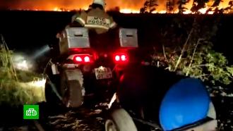 В Ростове-на-Дону растет площадь природного пожара
