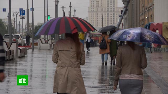 В Москве объявлен «желтый» уровень опасности из-за грозы.Москва, погода.НТВ.Ru: новости, видео, программы телеканала НТВ