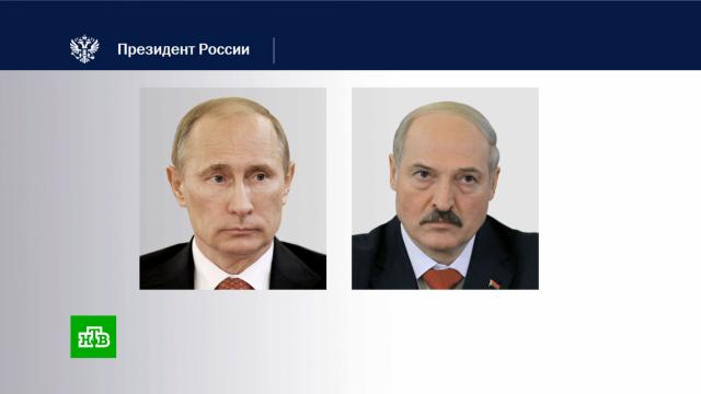 Путин обсудил с Лукашенко ситуацию на Украине и тепло поздравил его с днем рождения.Белоруссия, Лукашенко, Путин, Украина, дни рождения.НТВ.Ru: новости, видео, программы телеканала НТВ