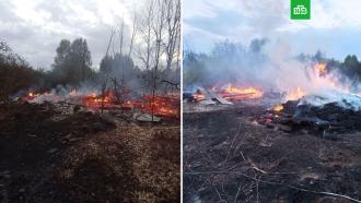 В Рязанской области сгорели шесть домов 