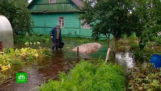 В Ленобласти затопило десятки садоводств