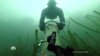 На глубине: зачем нужны подводные буксировщики