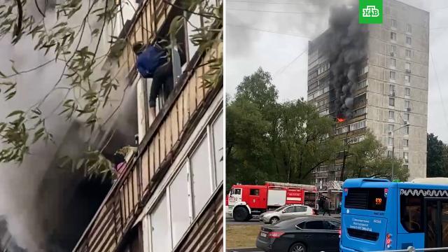 Сосед спас женщину из горящей квартиры на юге Москвы.Москва, пожары.НТВ.Ru: новости, видео, программы телеканала НТВ
