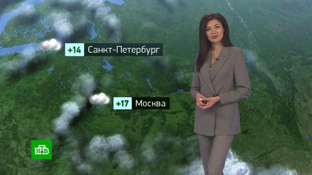 Утренний прогноз погоды на 16 сентября.погода, прогноз погоды.НТВ.Ru: новости, видео, программы телеканала НТВ