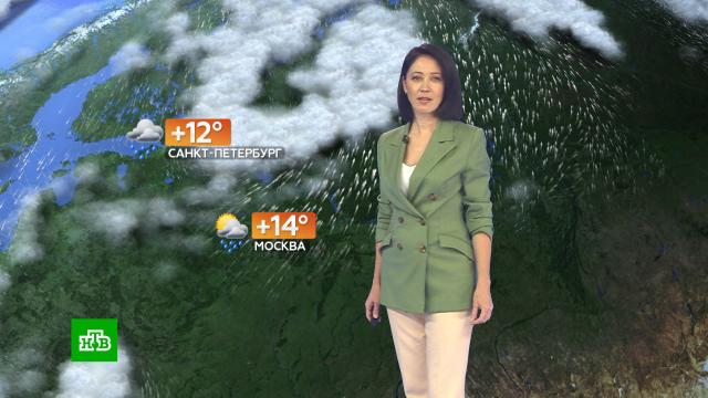 Прогноз погоды на 20 сентября.погода, прогноз погоды.НТВ.Ru: новости, видео, программы телеканала НТВ