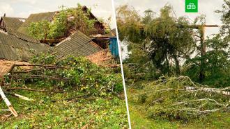 Два человека стали жертвами урагана в Курской области