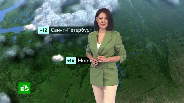 Утренний прогноз погоды на 20 сентября.погода, прогноз погоды.НТВ.Ru: новости, видео, программы телеканала НТВ