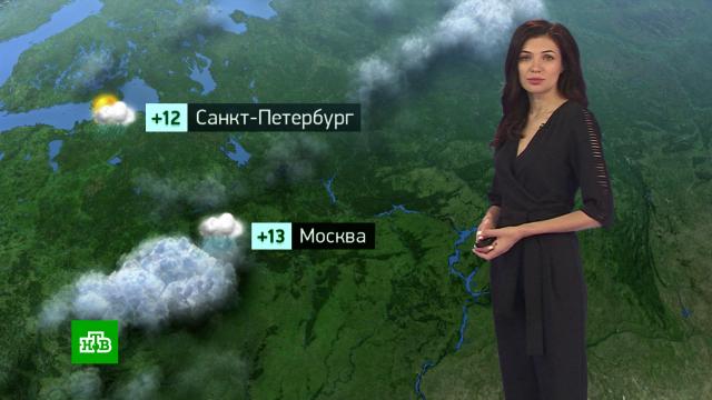 Утренний прогноз погоды на 21 сентября.погода, прогноз погоды.НТВ.Ru: новости, видео, программы телеканала НТВ