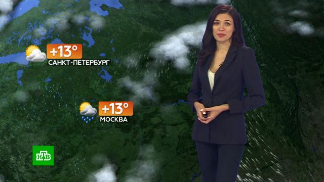 Прогноз погоды на 23 сентября.погода, прогноз погоды.НТВ.Ru: новости, видео, программы телеканала НТВ