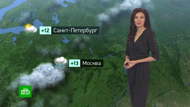 Утренний прогноз погоды на 22 сентября.погода, прогноз погоды.НТВ.Ru: новости, видео, программы телеканала НТВ