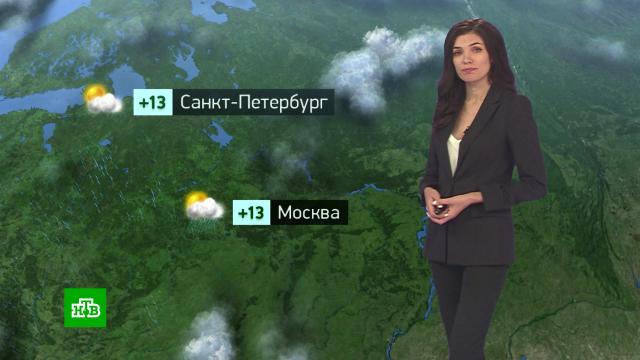 Утренний прогноз погоды на 23 сентября.погода, прогноз погоды.НТВ.Ru: новости, видео, программы телеканала НТВ