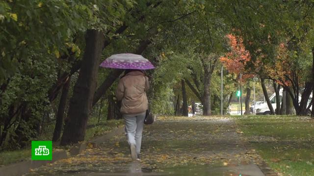 Сильный дождь будет идти в Москве всю субботу.Москва, погода, прогноз погоды.НТВ.Ru: новости, видео, программы телеканала НТВ