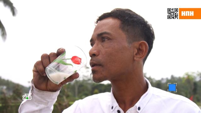 «Не заставляйте меня это пить!»: индонезиец забраковал кокосовый напиток из России.еда, Индонезия, магазины, продукты.НТВ.Ru: новости, видео, программы телеканала НТВ